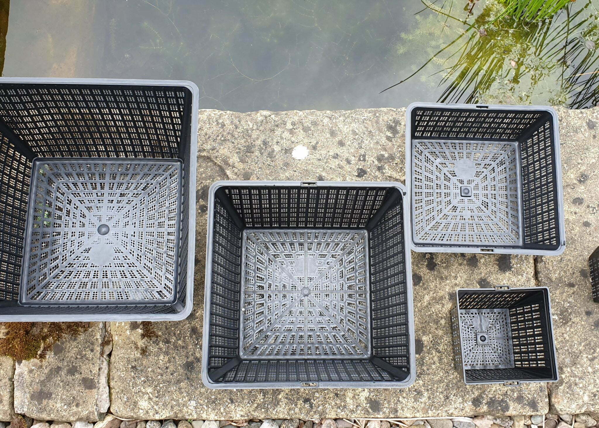 2.5lt planting basket Merebrook Pond Plants